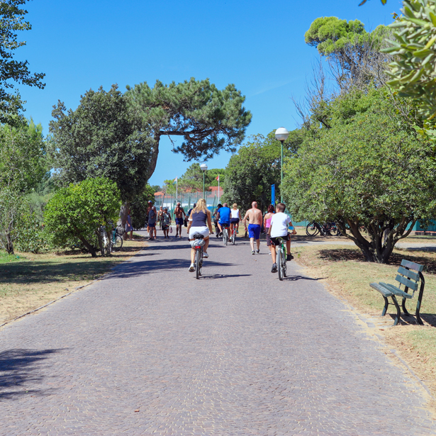 cycling vacations